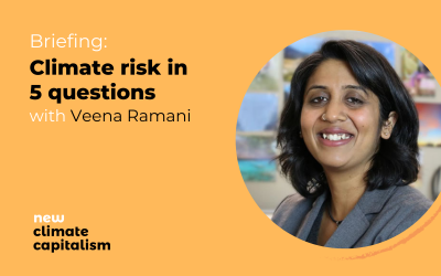 Briefing: Climate risk in 5 questions with Veena Ramani